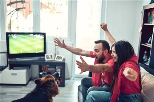 Пара и их немецкая овчарка аплодируют во время спортивного матча