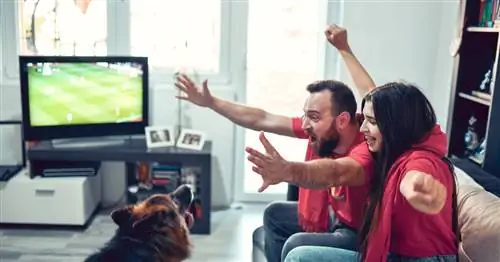 Как легально посмотреть четвертьфинал чемпионата мира бесплатно