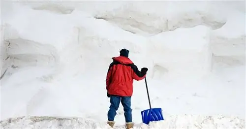 Как справиться с зимней хандрой до того, как она начнется