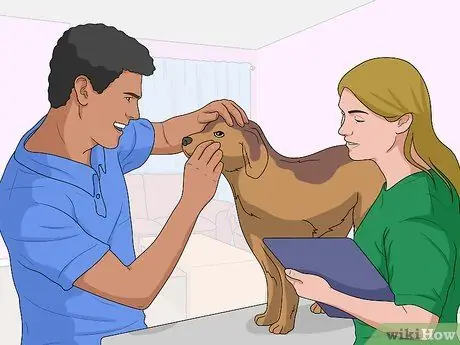 Собака сядет, шаг 5