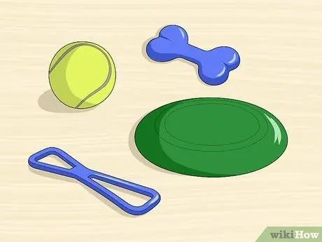 Собака сядет, шаг 7