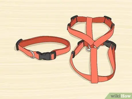 Собака сядет, шаг 8