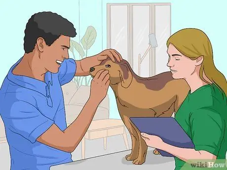 Собака сядет, шаг 14