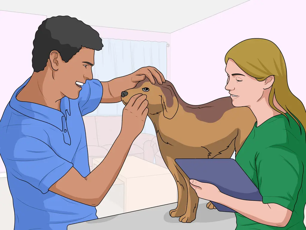 3 способа сидения собаки