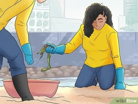 Живите простой и мирной жизнью Шаг 6