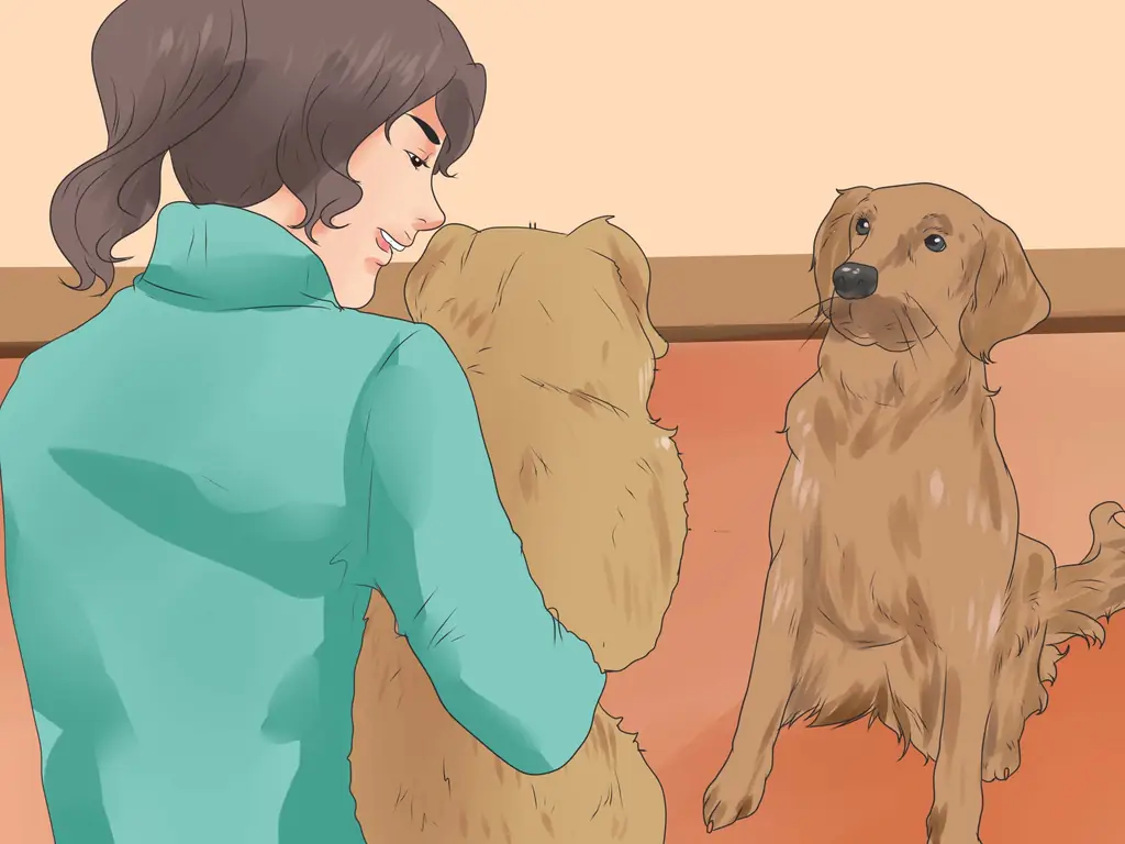 Как стать волонтером: 15 шагов (с иллюстрациями)