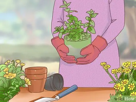 Упражнение с открытым разумом Шаг 5