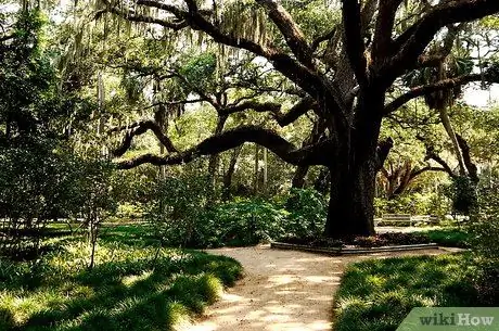 Анализ художественной литературы Шаг 10