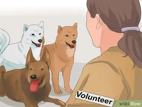 Получите работу с судимостью Шаг 14