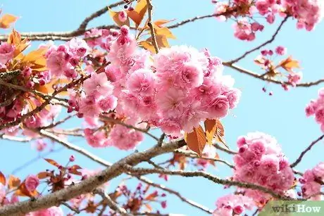 Повышение веры, шаг 3