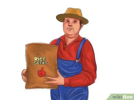 Выращивание риса, шаг 1