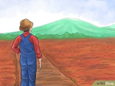 Выращивание риса, шаг 2