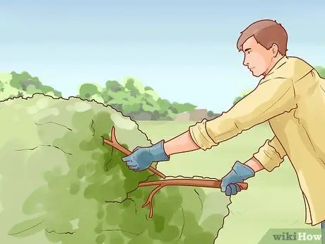 Постройте сукку Шаг 4