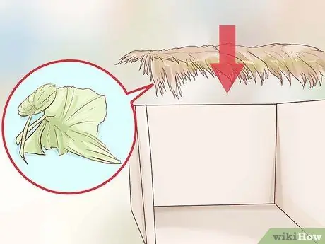 Постройте сукку Шаг 6