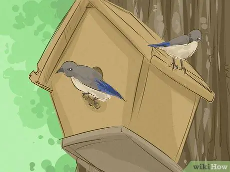 Помогите спасти Землю Шаг 18