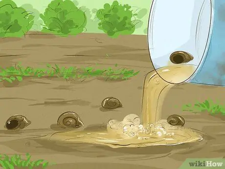 Избавьтесь от садовых улиток, шаг 18