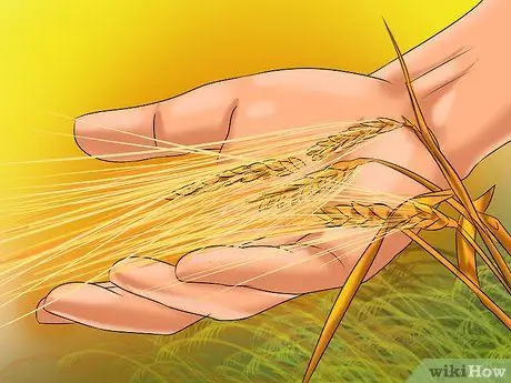 Отпразднуйте Карва Чаут Шаг 9