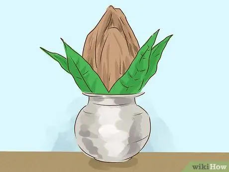 Украсить Варалакшми Шаг 4