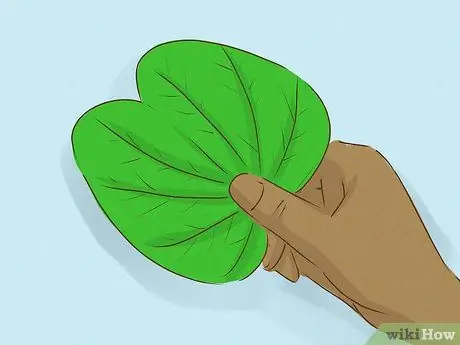 Отпразднуйте Душеру дома Шаг 10