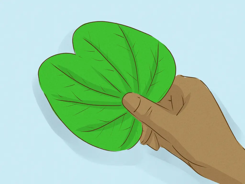 3 способа отпраздновать Душеру дома