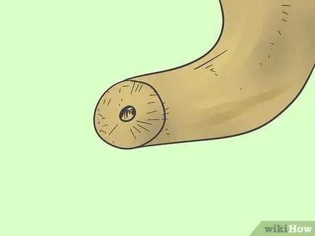 Сделайте Шофар Шаг 7