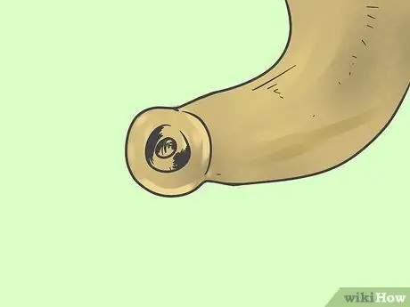 Сделать шофар Шаг 8