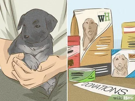 Измени мир, шаг 13