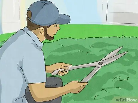 Предотвратить ограбление Шаг 19