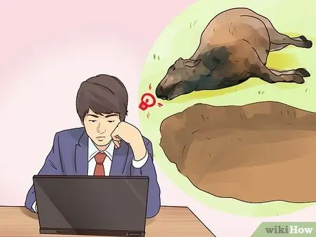 Поднять скот Шаг 5