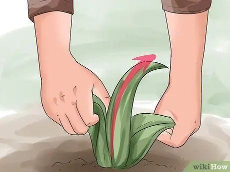 Начать козью ферму Шаг 9