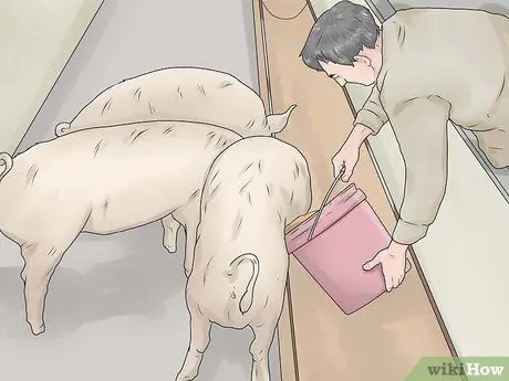 Поднять свиней, шаг 9