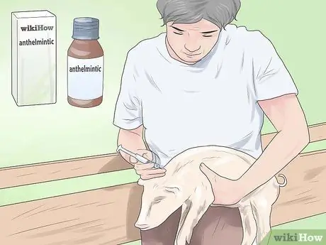 Поднять свиней, шаг 11