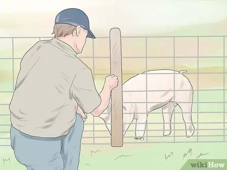 Поднять свиней, шаг 2