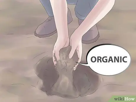 Выращивание гардении, шаг 5