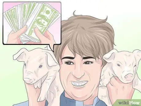 Поднять свиней, шаг 7