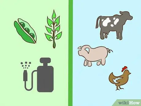 Начать ферму Шаг 13