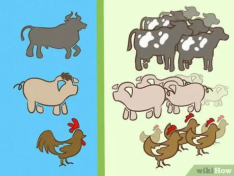 Начать ферму Шаг 14