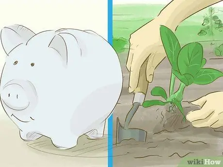 Начать ферму Шаг 4