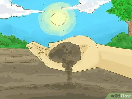 Начать ферму Шаг 5