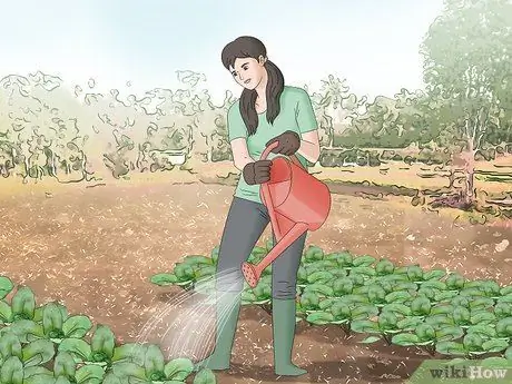 Стать фермером без опыта Шаг 1