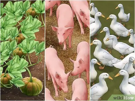 Стать фермером без опыта Шаг 2