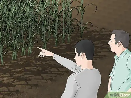 Стать фермером без опыта Шаг 9