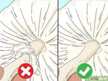 Определите съедобные грибы Шаг 4