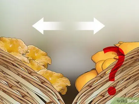 Определите ядовитые грибы Шаг 15