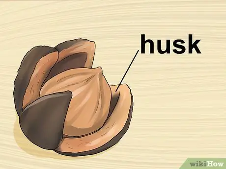 Определите деревья гикори, шаг 4