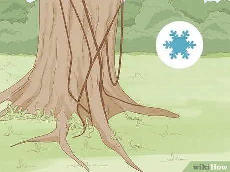 Определение ядовитого плюща Шаг 7