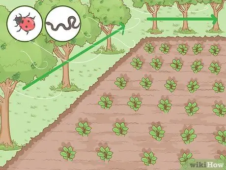 Практика устойчивого сельского хозяйства Шаг 6