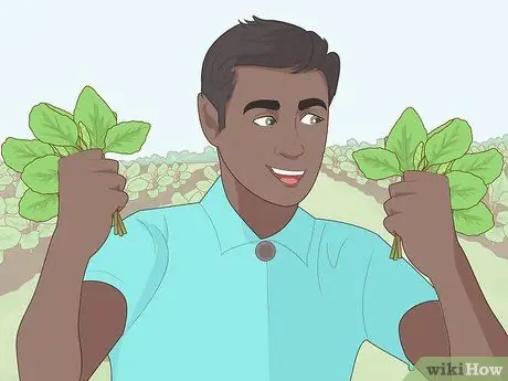 Практика устойчивого сельского хозяйства Шаг 9