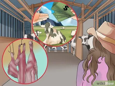 Начать молочную ферму Шаг 15