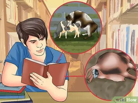 Начать молочную ферму Шаг 4